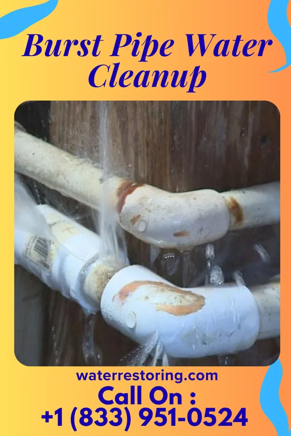Burst Pipe Water Cleanup in Ellis, KS