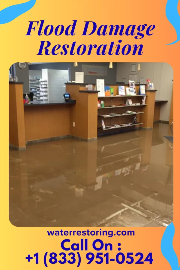 Flood Damage Restoration in Ellis, KS