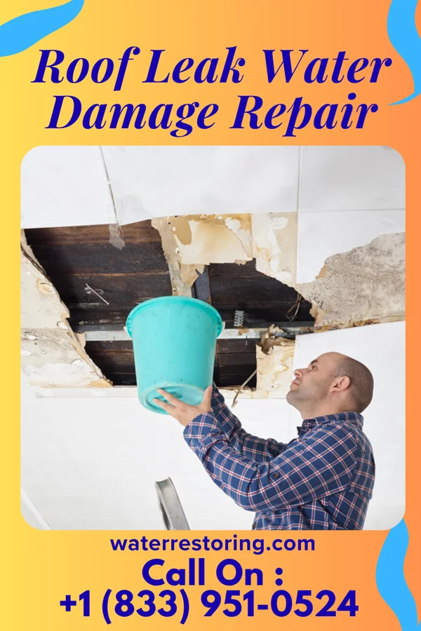 Roof Leak Water Damage Repair in Ellis, KS