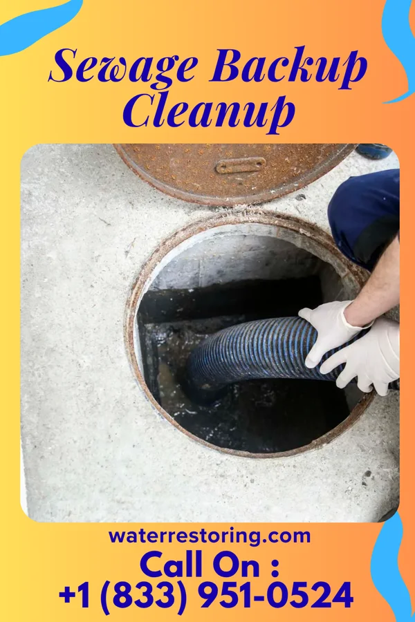 Sewage Backup Cleanup in Ellis, KS
