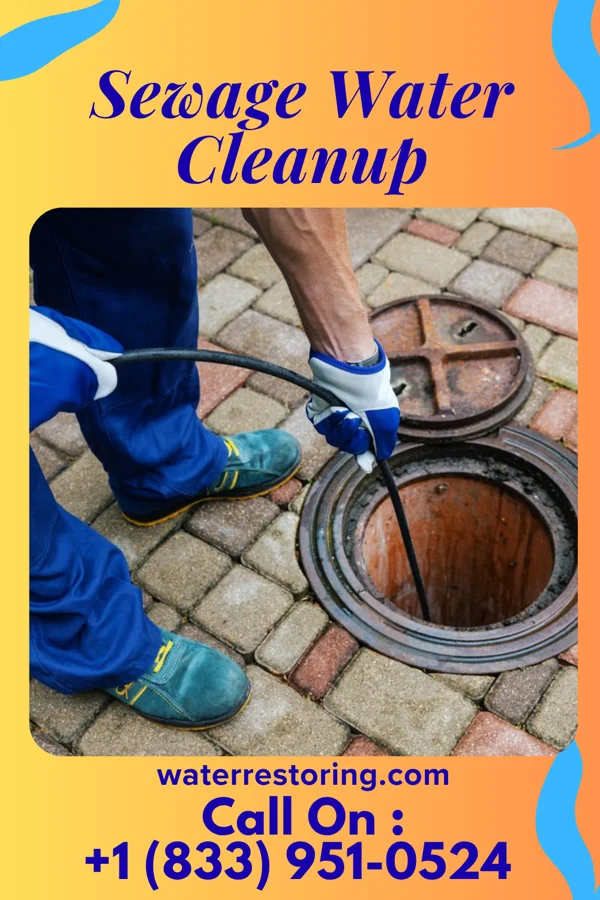 Sewage Water Cleanup in Ellis, KS